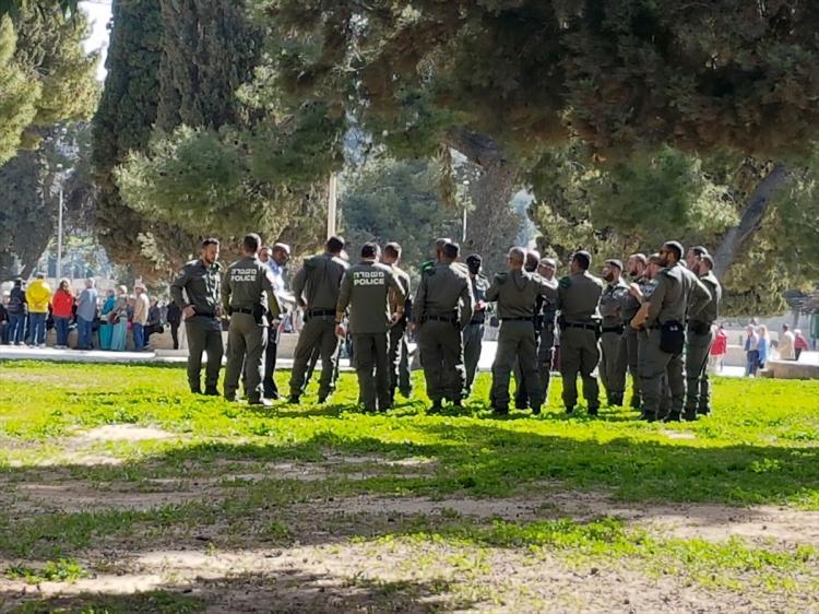 Duvarları macunun önüne astarlamak. Bir astar nasıl seçilir 12