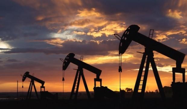 Tuvaletler için kanalizasyon pompaları: seçim ve üretici geribildirimi hakkında tavsiyeler 8