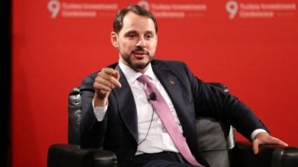 Nibelung, görkemli bir görünüm ve huzur vasfına sahip bir kedidir 43