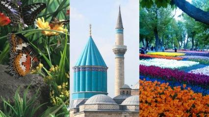 Yeşilçam yıldızı Aydan Şenerin inanılmaz değişimi Yeşilçam yıldızı Aydan Şenerin inanılmaz değişimi
