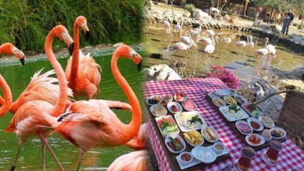 Kurumuş kan lekesi nasıl çıkar? - Pratik Bilgiler Haberleri