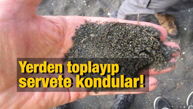 Yerden toplayıp servete kondular