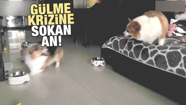 Gülme krizine sokan tartışma