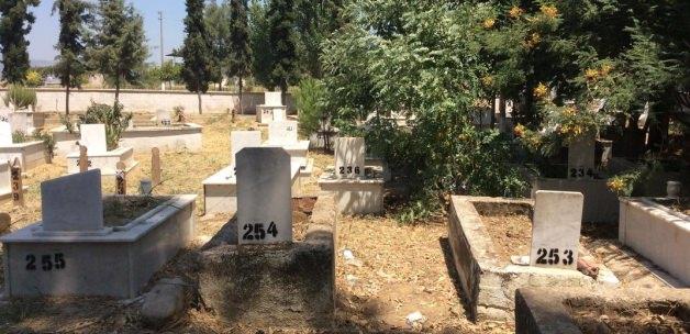 Aydın'dan kısa kısa