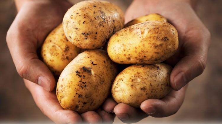 Asıl vitamini bakın neredeymiş!