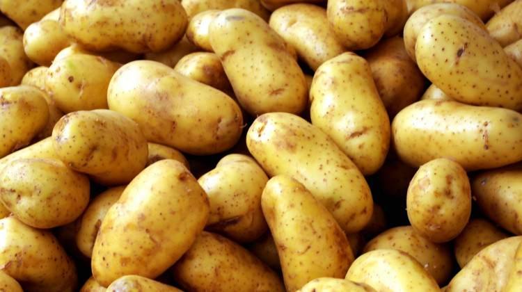Patates sevdalıları dikkat!