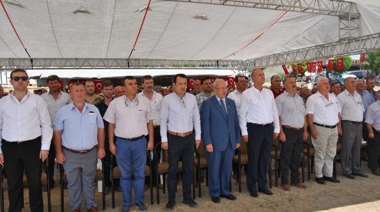 Hayrabolu’da "1. Ayçiçeği Hasat Bayramı" düzenlendi