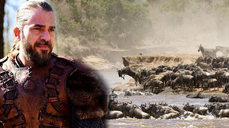 Engin Altan Düzyatan, Kenya'daki büyük göçü çekecek