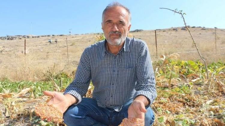 3 bin 500 yıllık vadide bulundu! Harekete geçtiler