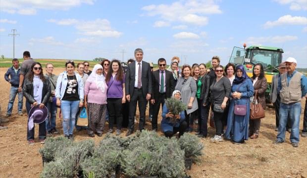 Edirneli kadınlara "mis kokulu" gelir kapısı