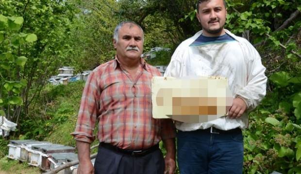 Görünce şaşkına döndüler! Arılar yazdı...