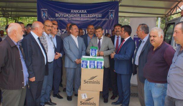 Turşuluk salatalığa tohum desteği