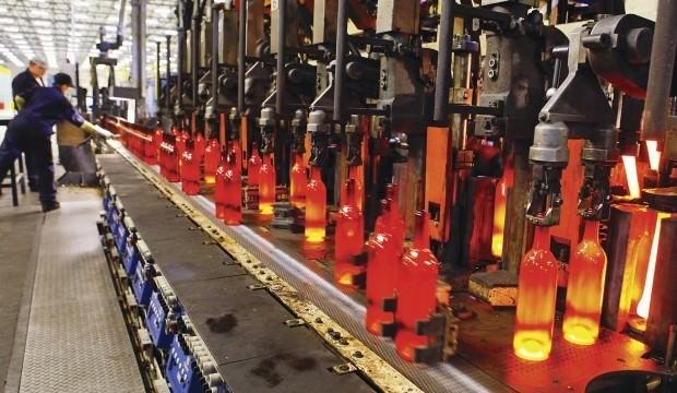 Türk devi Hintli devin tamamını aldı