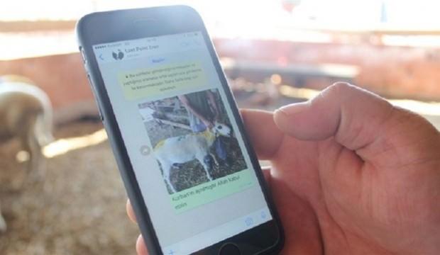 Kurbanlıkların seceresi 'cep'ten öğrenilecek