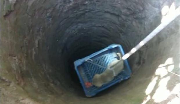 Konya'da kuyuya düşen yavru köpek kurtarıldı