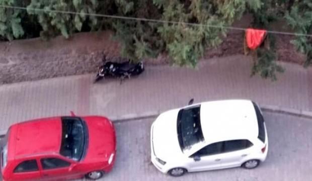 Telefon hattına asılı kalan mont, vinçle indirildi