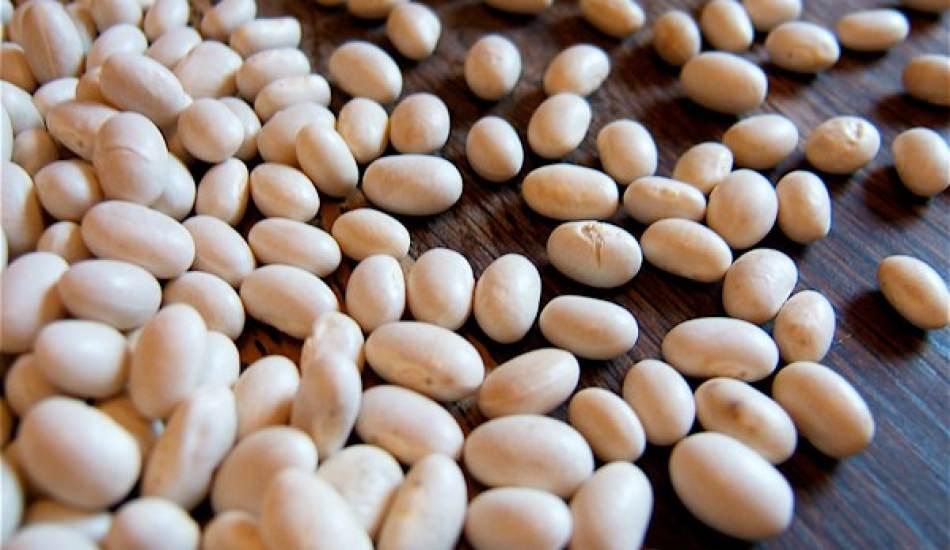 Sofraların "kuru"sunun hasadı başladı