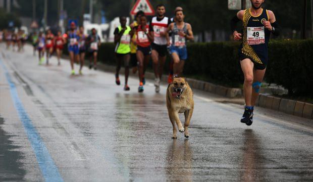 Uluslararası 5 Ocak Adana Kurtuluş Yarı Maratonu