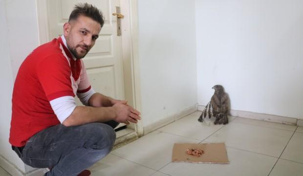 Yol kenarında buldu, tam 900 km yanında taşıdı