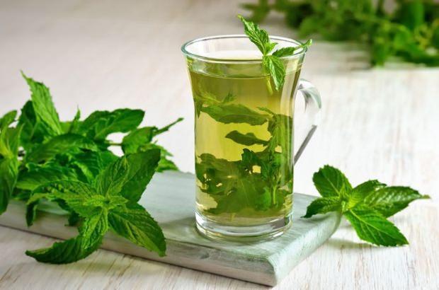 Yeşil çayın faydaları neler? Yeşil çay nasıl içilirse kilo verdirir? Yeşil çay diyeti ile hızlı ve sağlıklı zayıflama