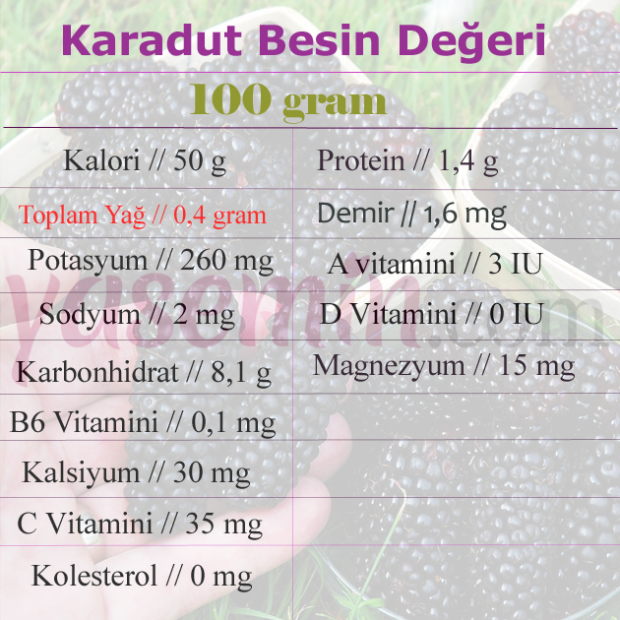 Karadutun faydaları nelerdir? Karadut hangi hastalıklara iyi gelir? Karadutu kaynatıp içerseniz ne olur?