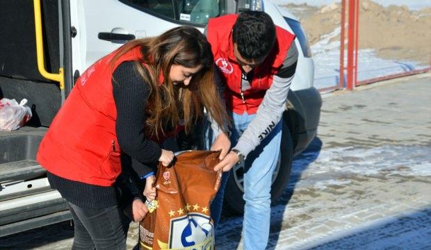 Öğrencilerden sokak ve yaban hayvanlarına şefkat eli