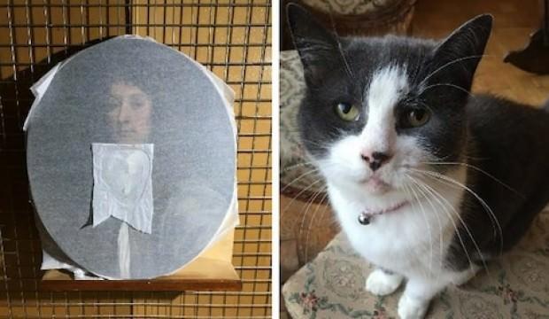 400 yıllık tabloya kedi darbesi!