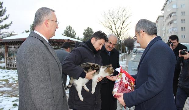 "Hayvan dostu ilçe" kulübelerle donatıldı