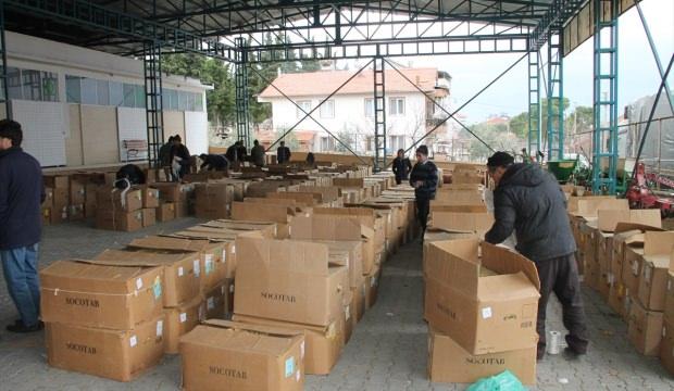 Manisa'da tütün alımları başladı