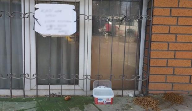 Hayvanseverden ilginç uyarı! Penceresine astı...