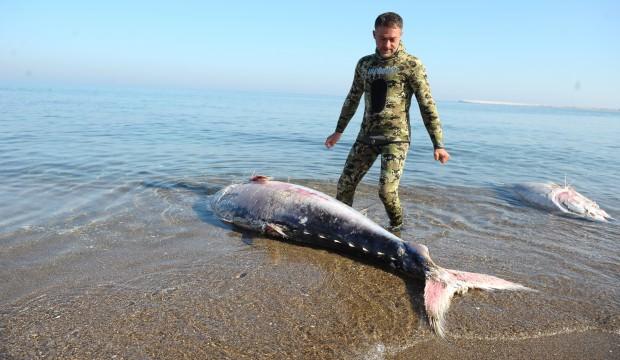 Marmara'da korkutan görüntü! Çok nadir görülüyor