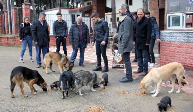Harçlıklarıyla aldıkları mamalarla sokak hayvanlarını beslediler
