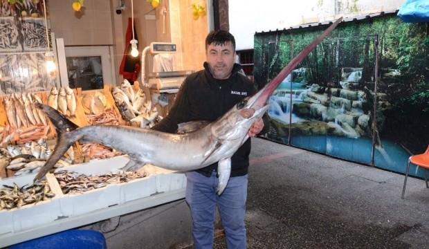 Kılıç balığı koyun fiyatına satıldı