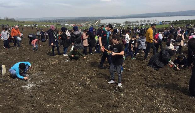 81 ilde aynı anda fidan dikme rekoru kırıldı