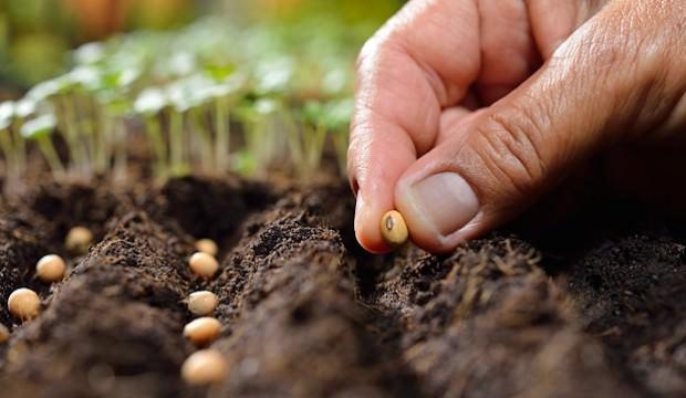 Bakan açıkladı! Avrupa'da ilk sıralarda yer alıyor
