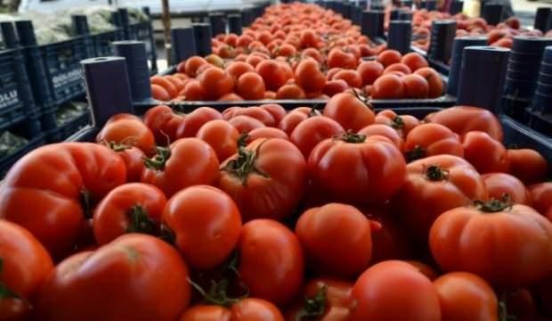 Domates ve salatalığın kilosu 1 liraya düştü