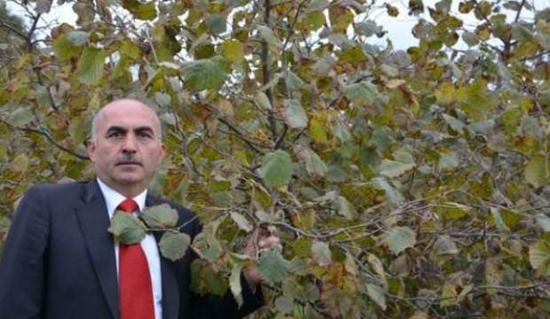 Alattin Gülal'dan flaş fındık açıklaması