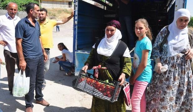 Kilosu 1 TL'den satılıyor! Kasa kasa aldılar