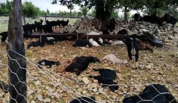 Korkunç manzara! Bir anda yere yığıldılar