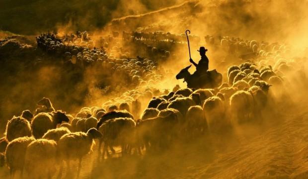 Film sahnesi değil! Bu fotoğraf Türkiye'de çekildi