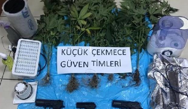 Giysi dolabından uyuşturucu serası çıktı