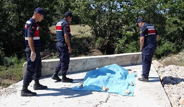 Gören dehşete düştü! Yüzü parçalanmış halde bulundu