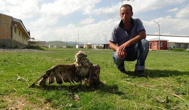 Yol kenarında bu halde bulundu