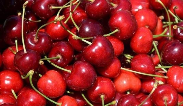 Türk kirazı 'Çin Seddini aşmayı' başardı