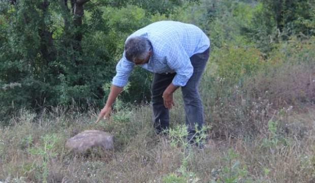 Yol kenarında bulundu! Hemen korumaya alındı