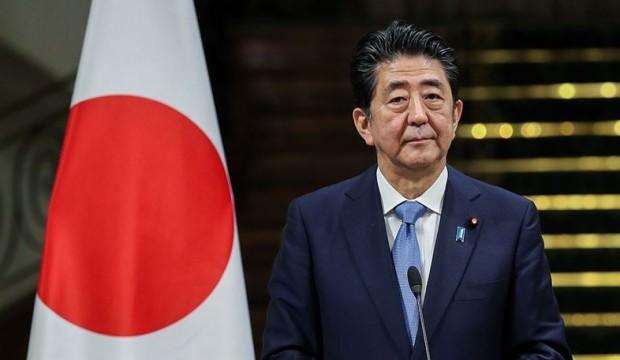 Japonya'da Senato seçimlerini Abe kazandı