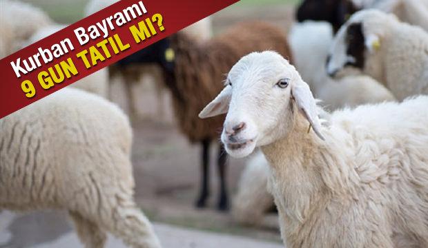 Kurban Bayramı tatili 9 gün olacak mı? Ağustos'un kaçına denk geliyor?