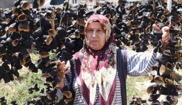 Küçük mahallede kuruyor, dünya sofralarını süslüyor
