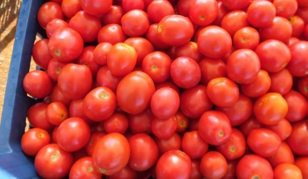 Salça yapmak hiç bu kadar kolay olmamıştı