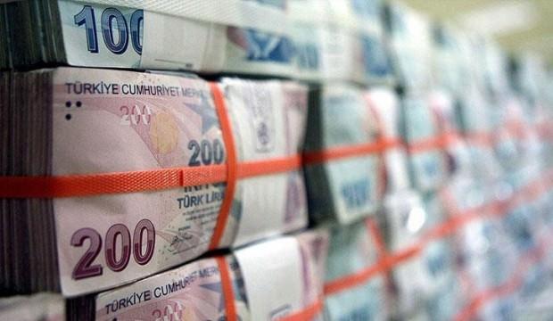 Hazine 2,9 milyar lira borçlandı